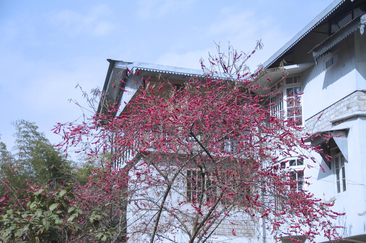 The Mazong Hotel Gangtok Extérieur photo